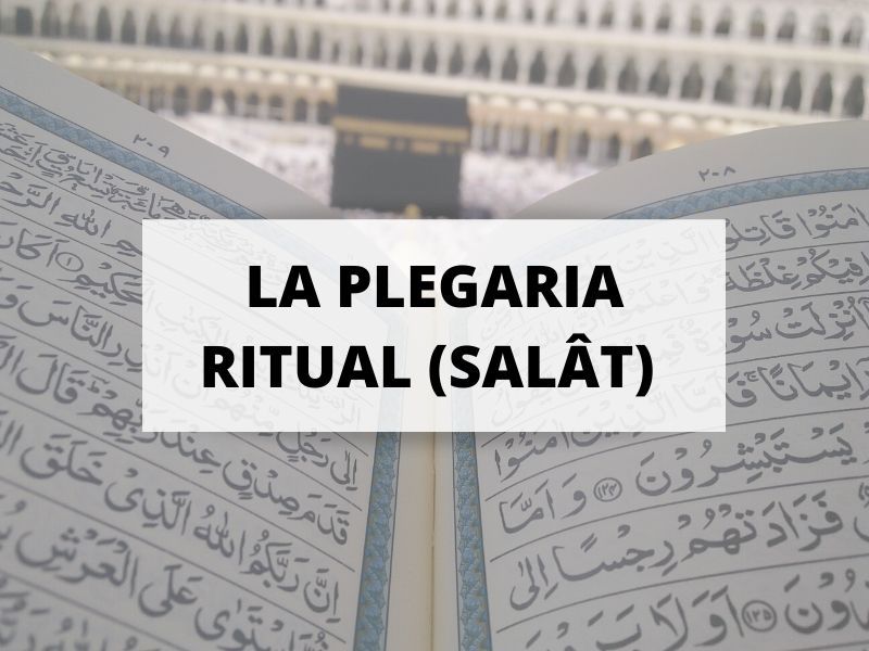 portada-plegaria