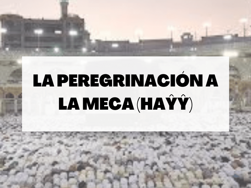 peregrinacion
